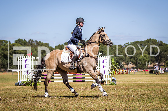 WAYERJL-8343
