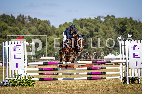 WAYERJL-8348