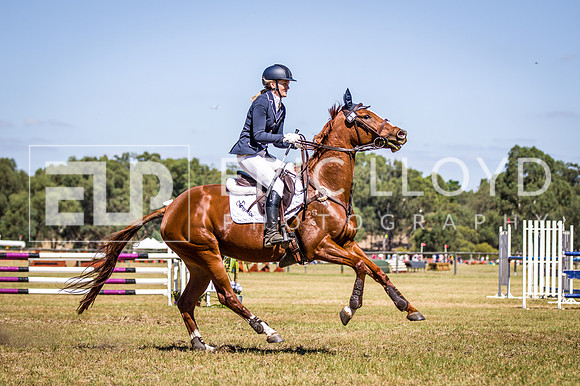 WAYERJL-8355