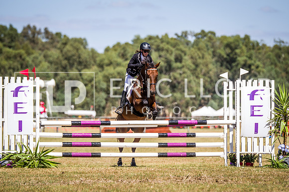 WAYERJL-8359