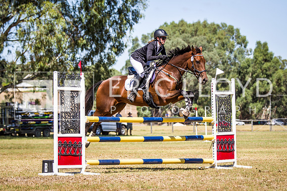 WAYERJL-8368