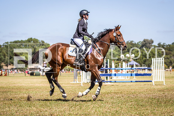 WAYERJL-8369