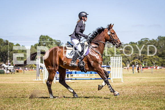 WAYERJL-8370
