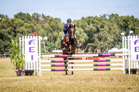WAYERJL-8273