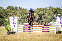 WAYERJL-8274