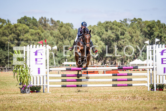 WAYERJL-8274