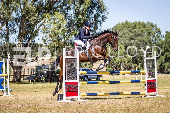 WAYERJL-8282