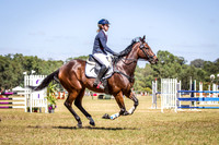 WAYERJL-8285