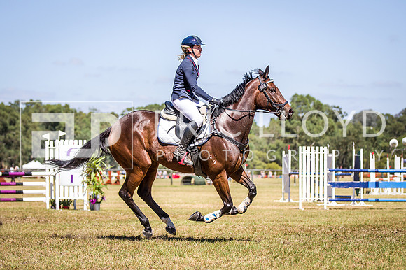 WAYERJL-8285