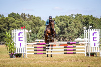 WAYERJL-8286