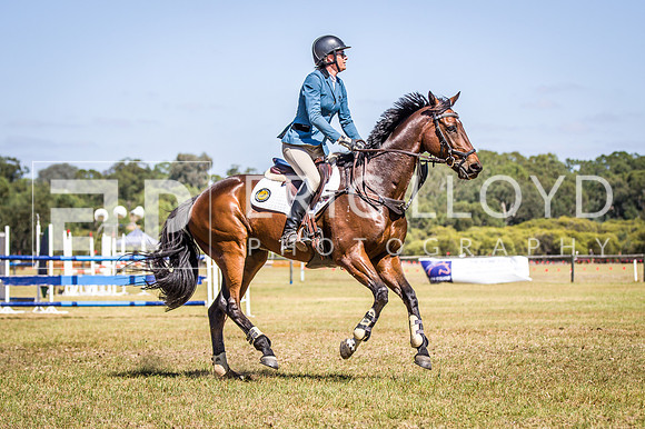 WAYERJL-8288
