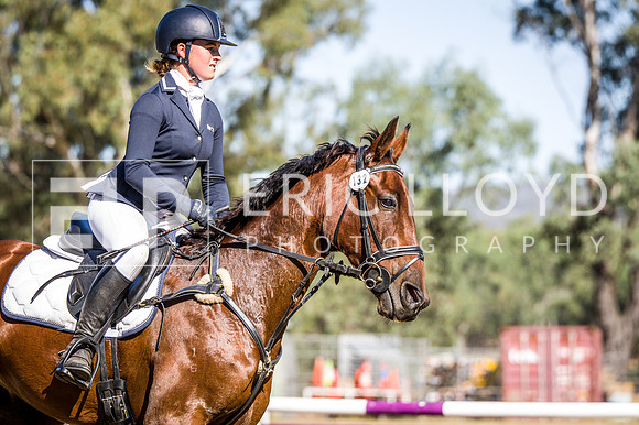 WAYERJL-9134