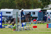 IMGP1246