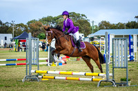 Class 8.2 - Off the Track WA 50 cm