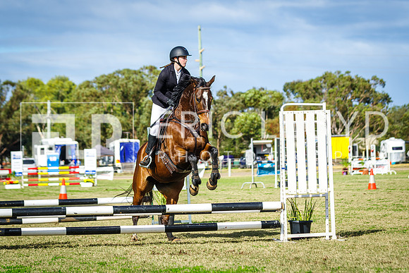 IMGP1693