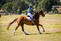 CIC 3 Star - Valley Equine Vet