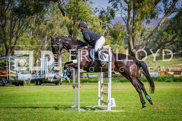 IMGP6830