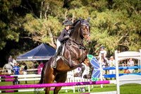 WASJA Showjumping 08 04 2018