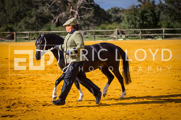 untitled-9608