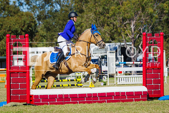 IMGP6911
