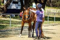 Ground Work-Handling 2.40-4.00pm