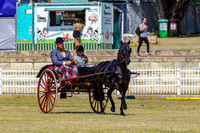 Carriage Driving