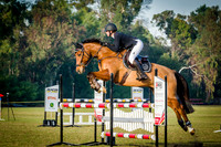 1- Williams Tree Pro Services- 105cm Open