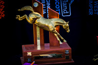 Gold Championship Show 2018