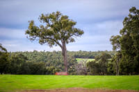 DSCF2368