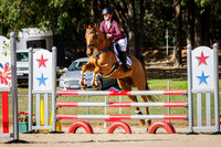 Showjumping