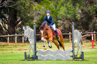 Rainbow Challenge 60cm Over 18yrs - Optimum Time