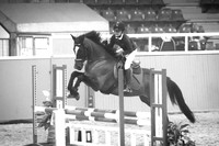 Pony SSJChamps-5628