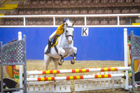 Pony SSJChamps-5632