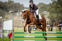 Section 4 SJ 80A EvA80