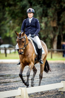 Dressage 8.30-9.30am