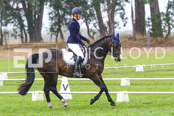 IMGP1027