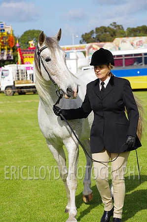 Jess-2391