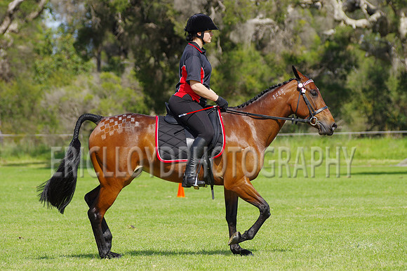 ARCA WH 2014-6568