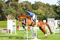 Ring 2. Horseland Midland 60cm Optimum Time