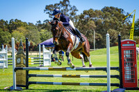 CUSTOM ROSETTES - Ring 2 Grass arena