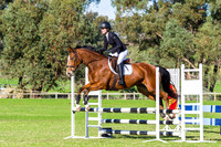 Ring 2  Horseland Midland 70 - 80cm Optimum Time