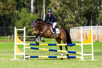 Ring 2. 3A Horseland Midland 21 YEARS AND OVER 80cm-90cm AM7