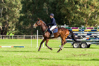 Ring 2. 4b. EquineWorld Amateur B AM5