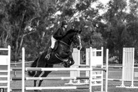 untitled-5013