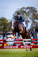 Class 23 - Rogue Pony 85cm