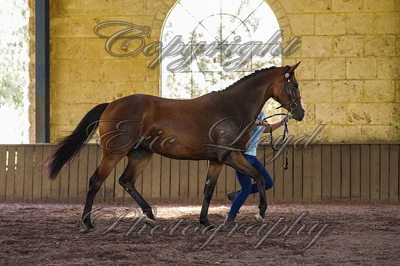 Brookleigh-0115