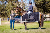 Class 28 - Midwest Vets & EWA Jumping Horse of the Year 1.30