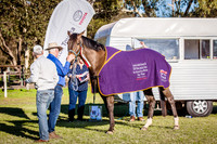 Off The Track Main Arena