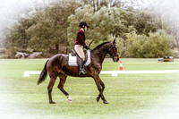 Jill Stanton Dressage 2018 (Sat)
