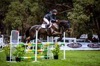 Ascot Equine Veterinarians CCN1 Star - Long